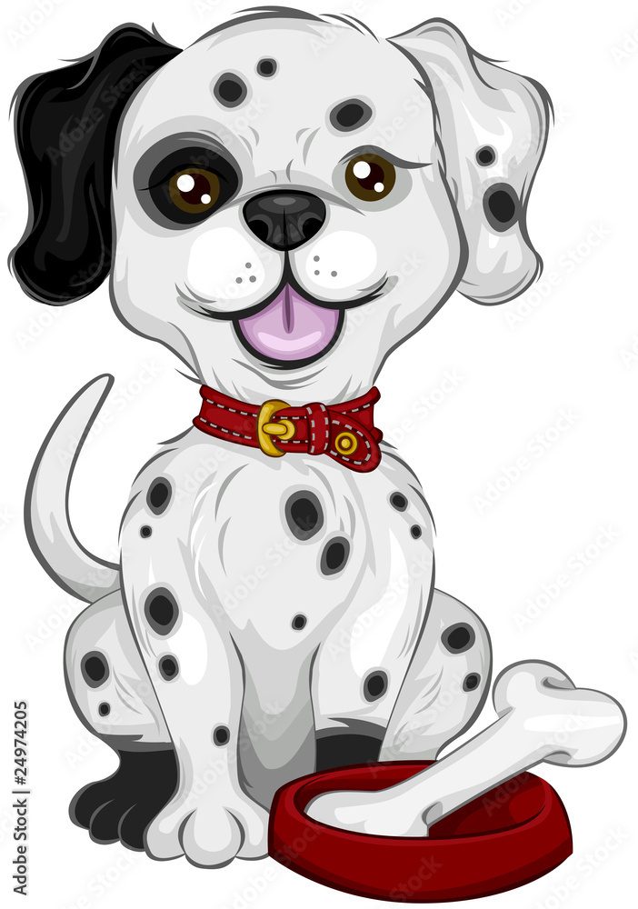 Fototapeta premium Dalmatian