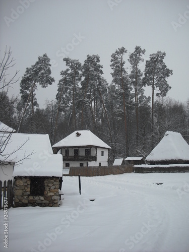 winter landscape