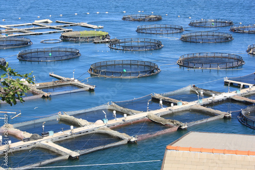 Photography fish farm in La Spezia Italy