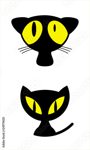 two cats