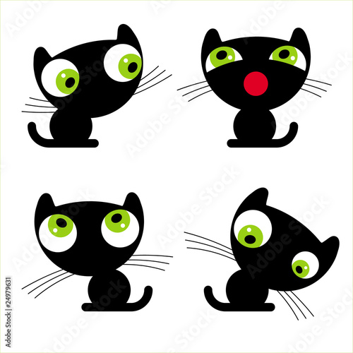 black cat