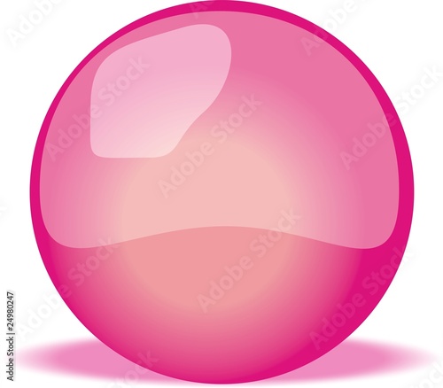 bouton rose