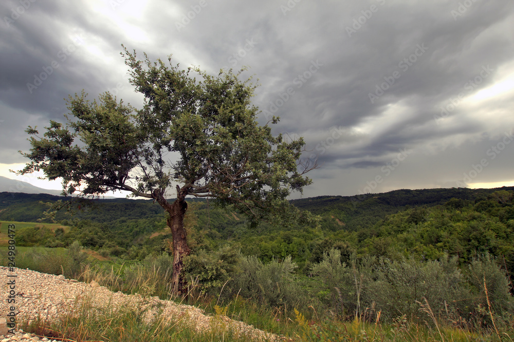 Obraz premium paesaggio temporalesco