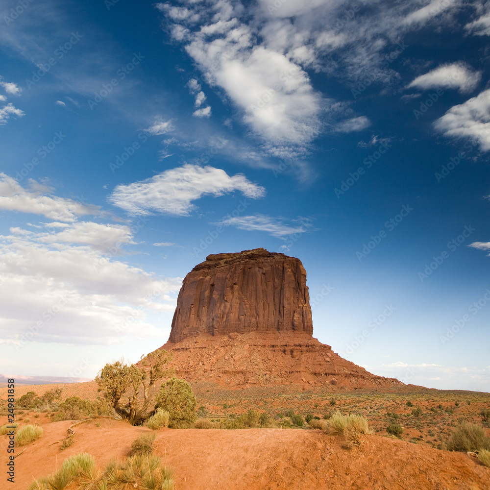 Fels in Monument Valley, USA