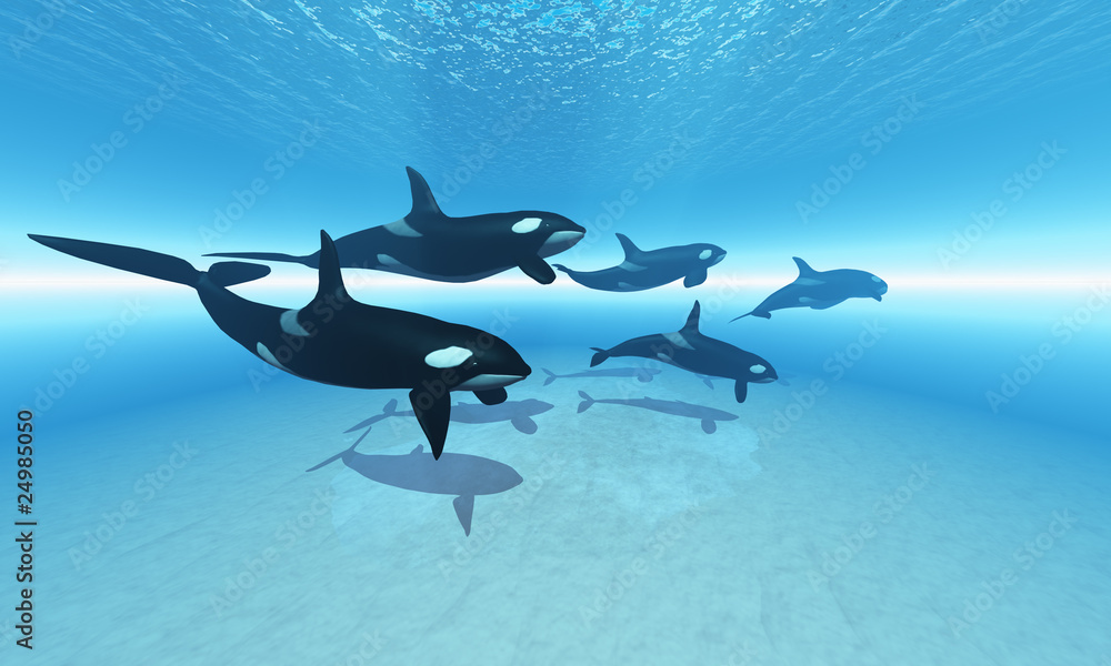 Obraz premium THE HUNT