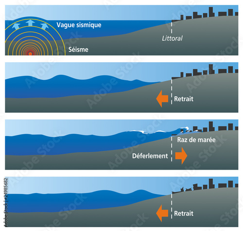 Séismes - Formation d'un tsunami