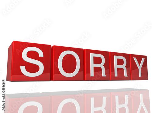 Billede på lærred Sorry