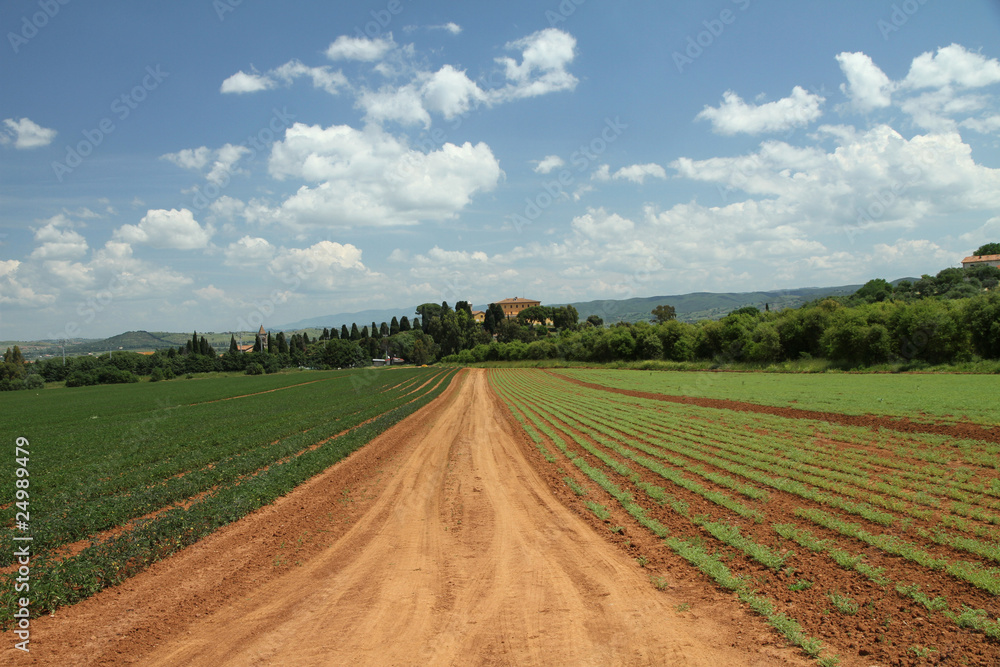 tuscan agriculture