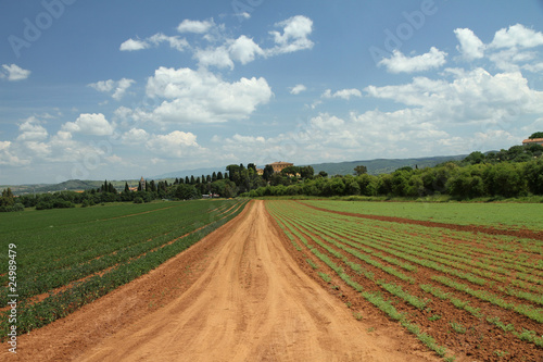 tuscan agriculture