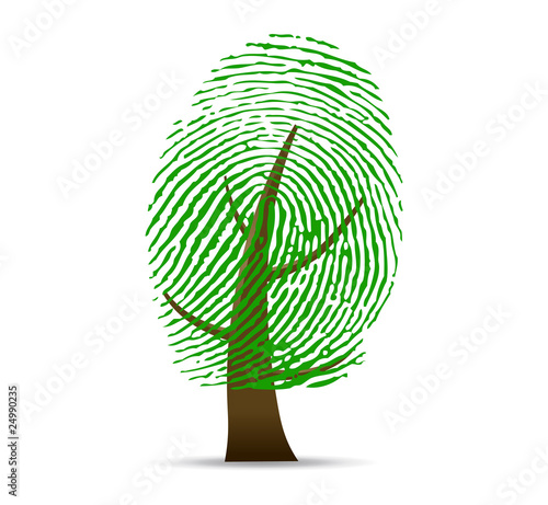 Fingerprint tree vector