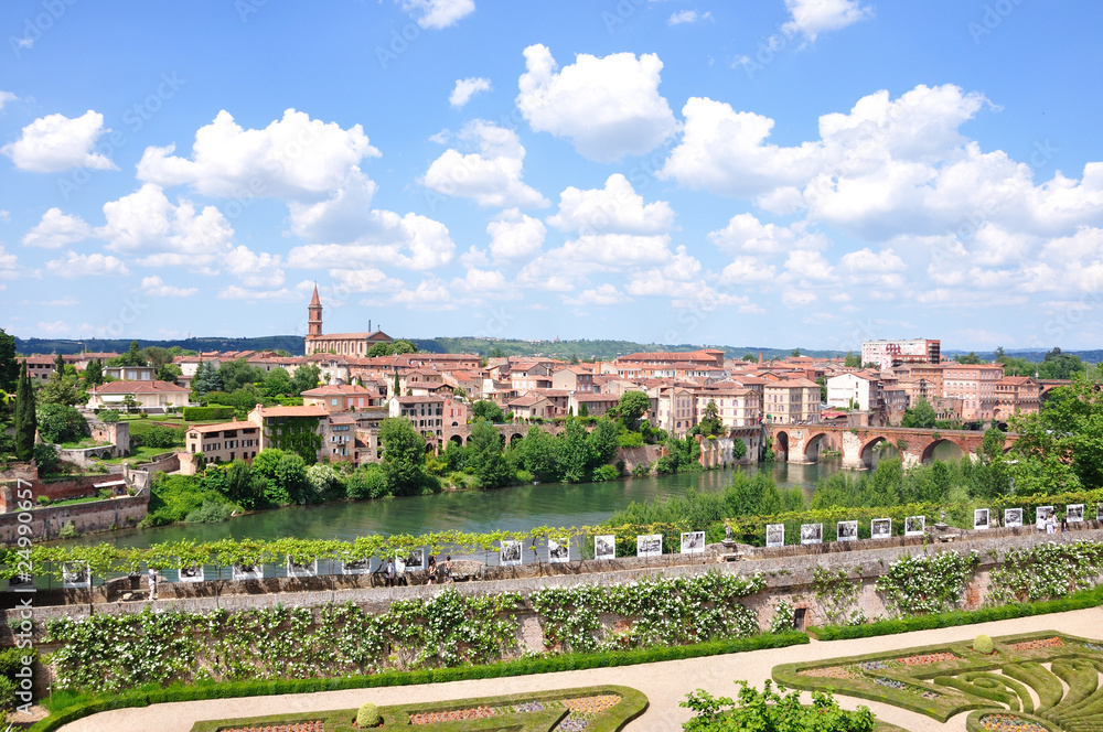 Fototapeta premium Albi 2