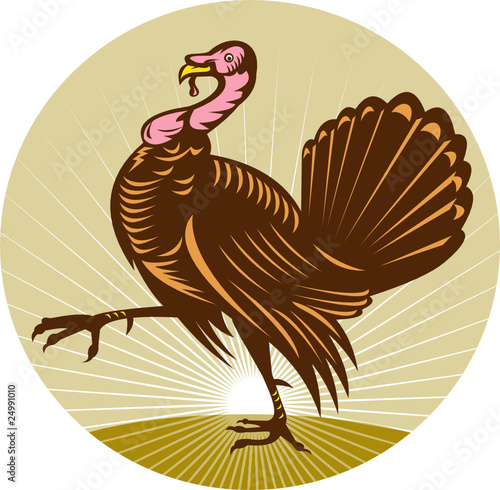 turkey marching