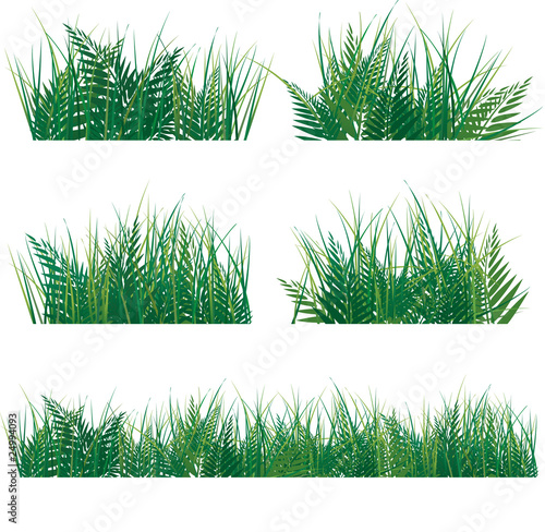 various green grass