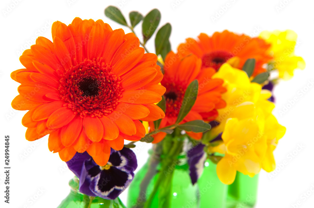 Colorful flowers Colorful flowers