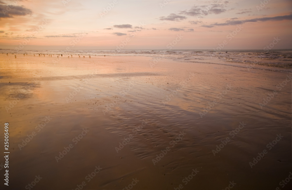 Hastings beach sunrise