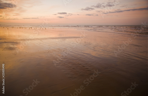 Hastings beach sunrise