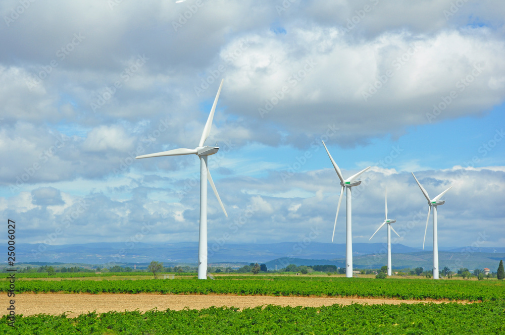 Fototapeta premium champ d'éoliennes