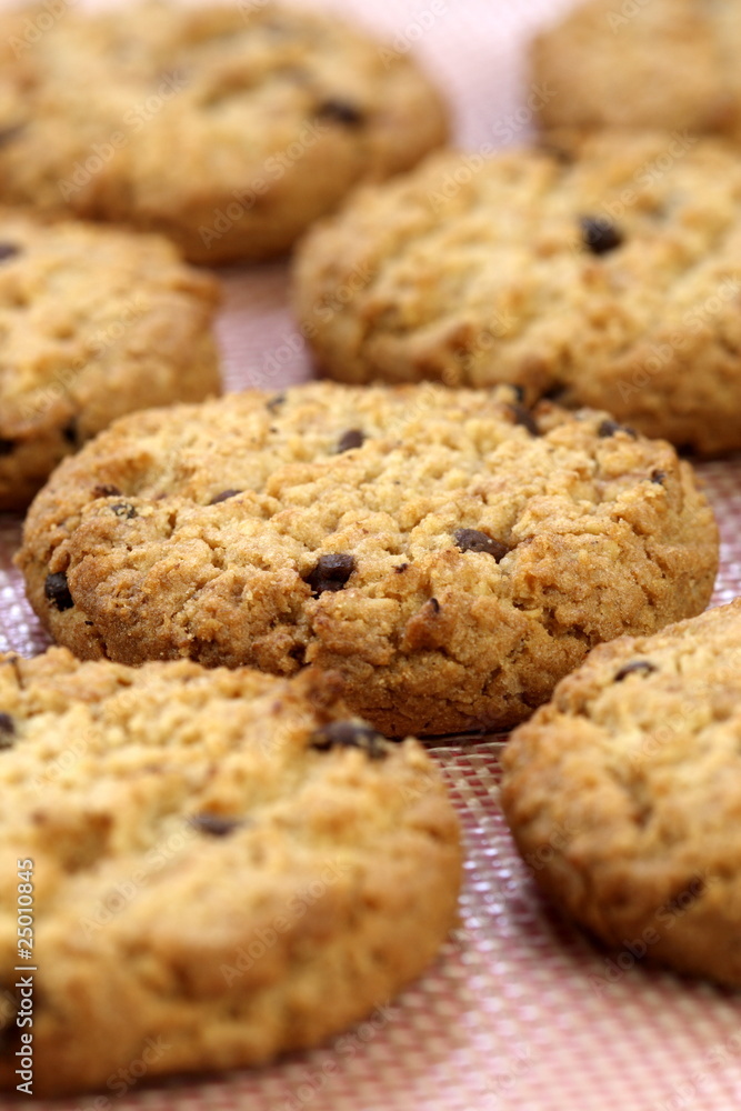 chocolate chip cookies