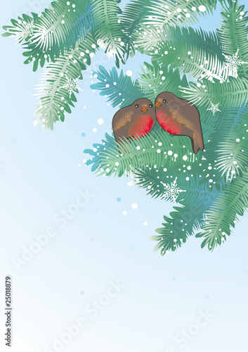 two bullfinch