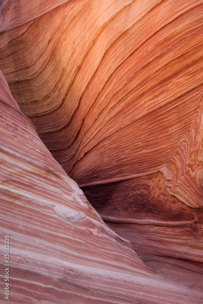 The Wave, Paria canyon The Wave, Paria canyon