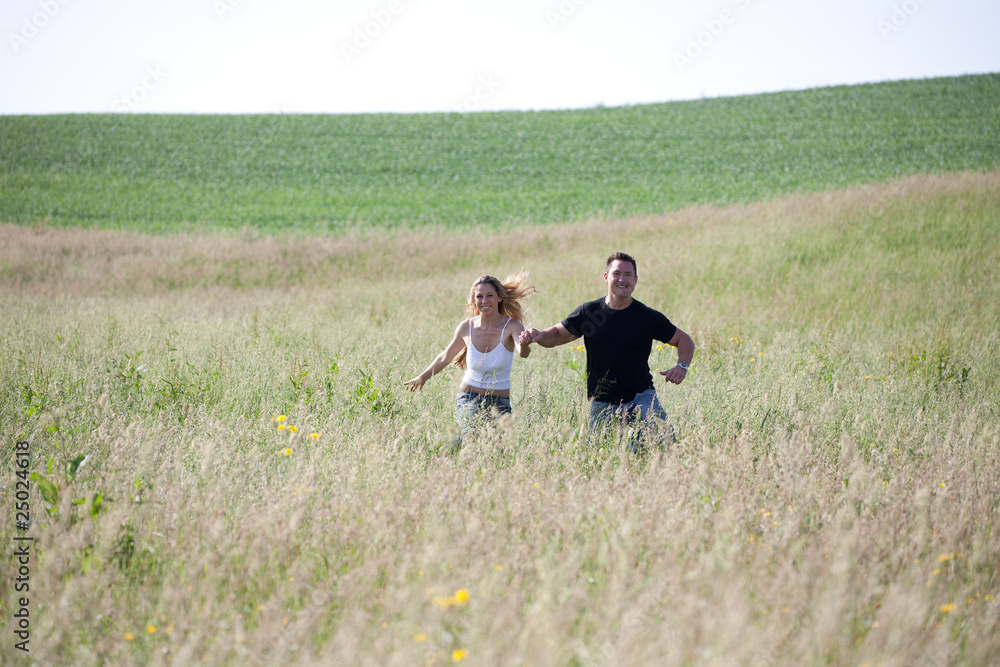 Naklejka premium Summer meadow