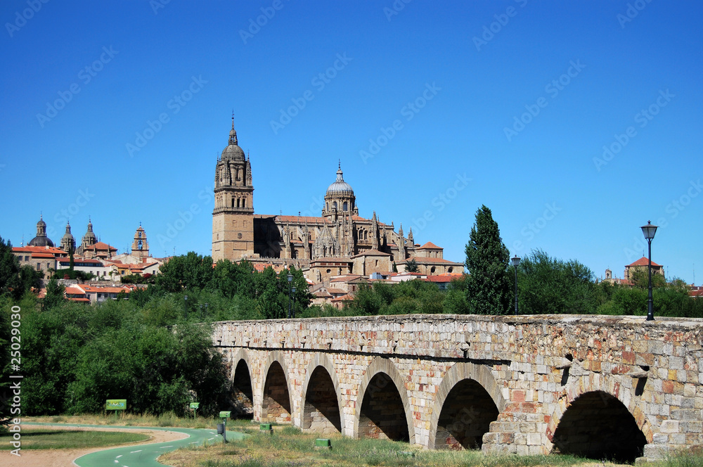 Catedral y Puente Romano de Salamanca