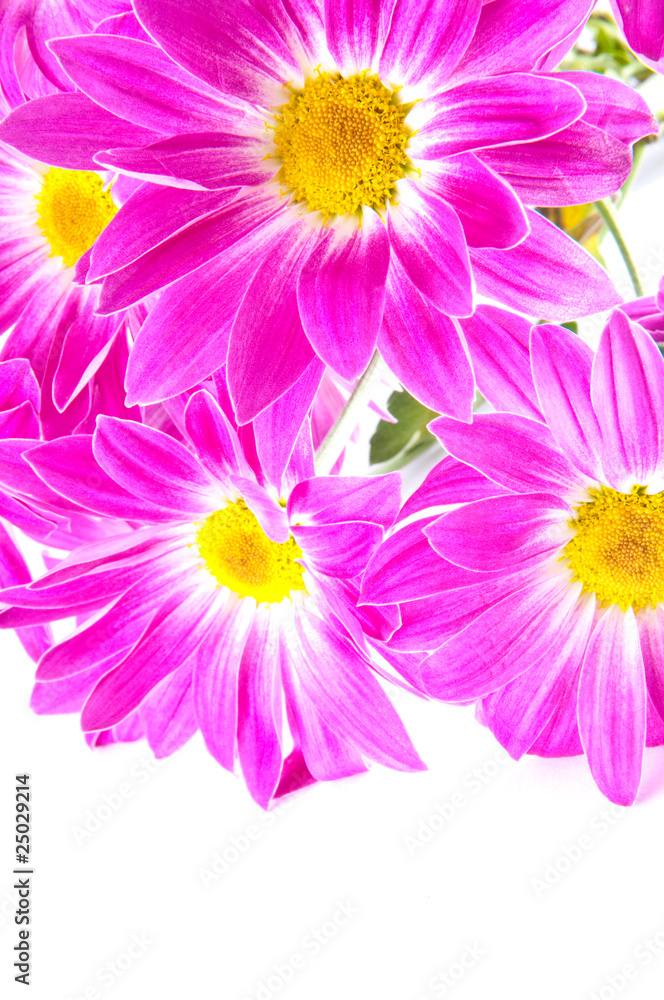 Bouquet of chrysanthemums Bouquet of chrysanthemums