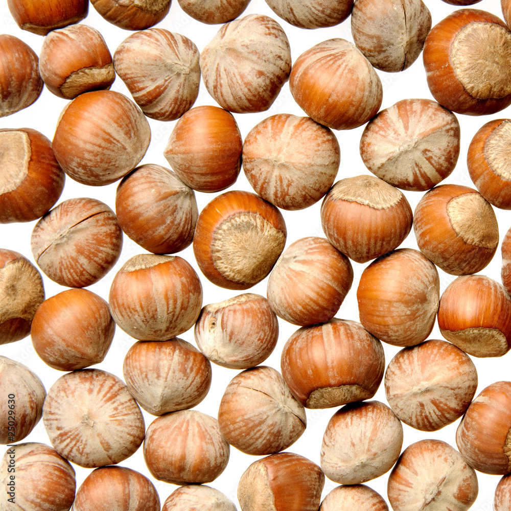 nuts nuts