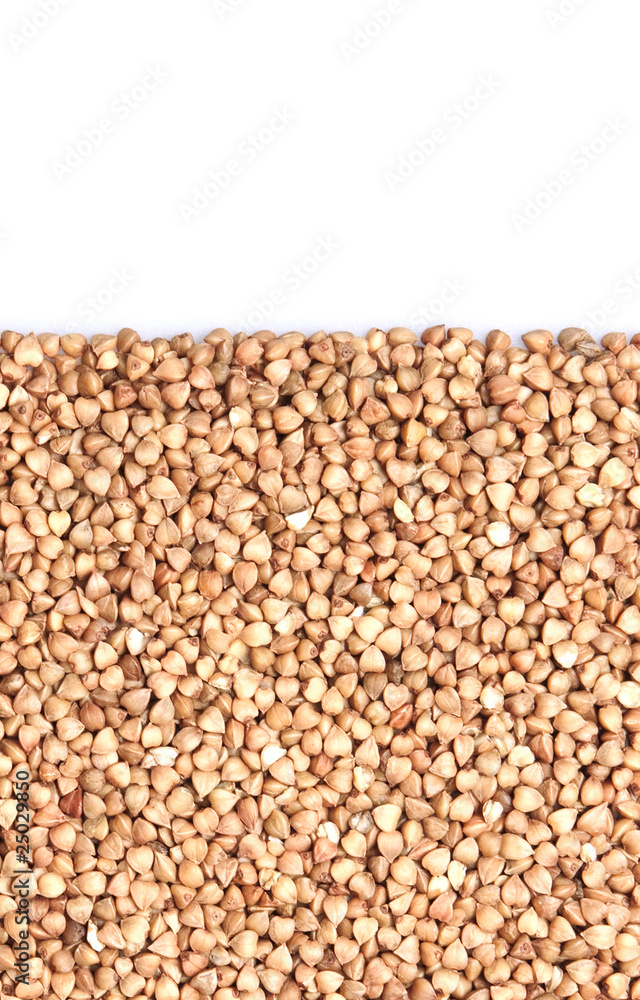 Fototapeta premium buckwheat;