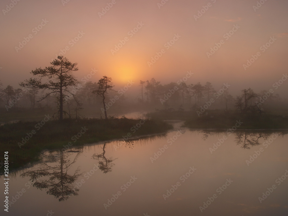 Marsh landscape, sunrise Marsh landscape, sunrise