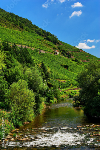 Rivière Vosgienne à Thann , Alsace (Fr) photo