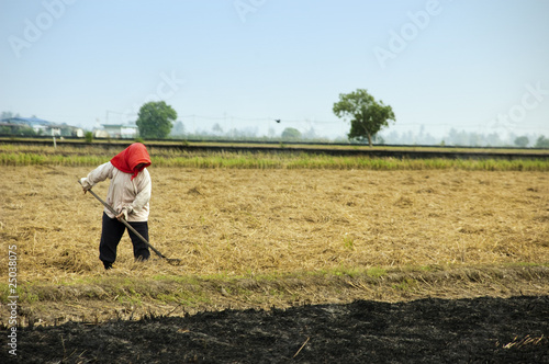 Wallpaper Mural Farmer Torontodigital.ca