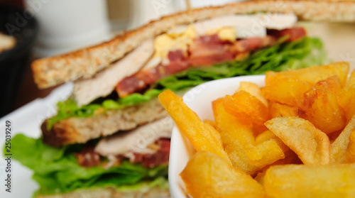 Sandwich and French fries © ilolab