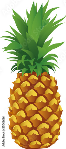 pineapple