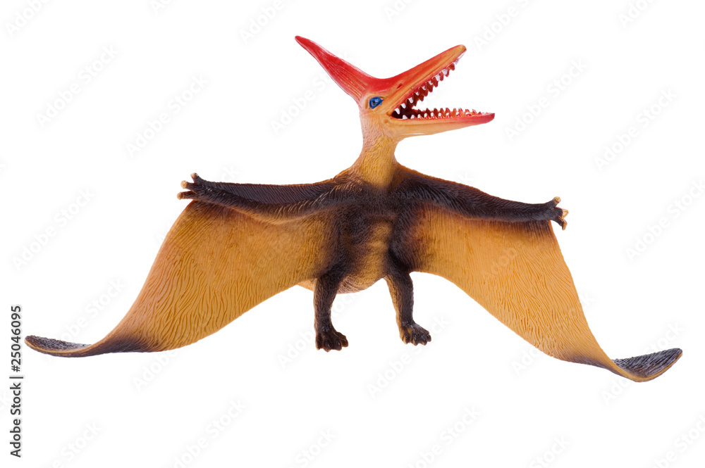 dinosaur dinosaur