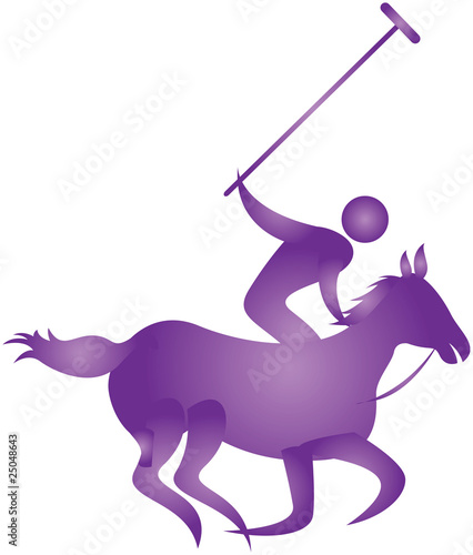 human playing polo game with  stick in hand