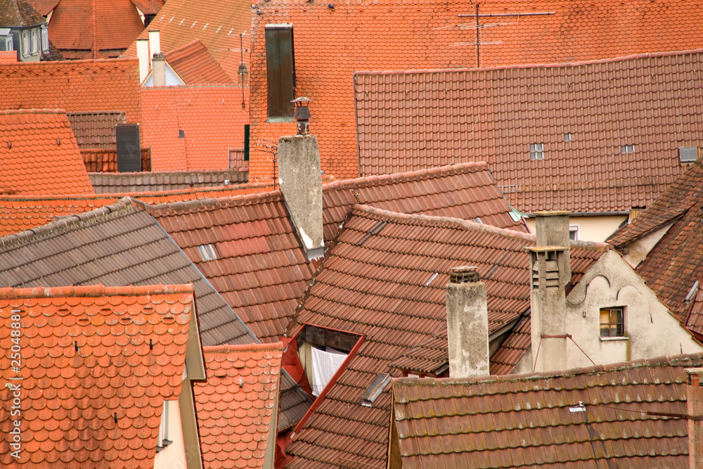 Dächer in Tübingen