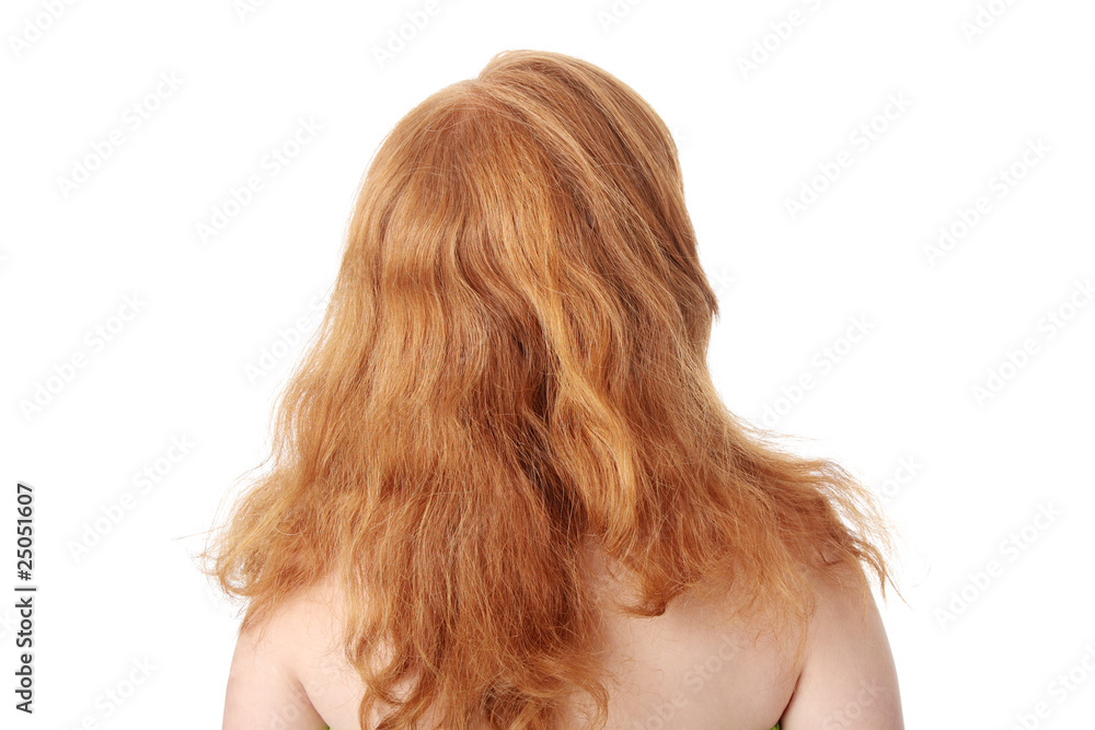 Fototapeta premium Red head