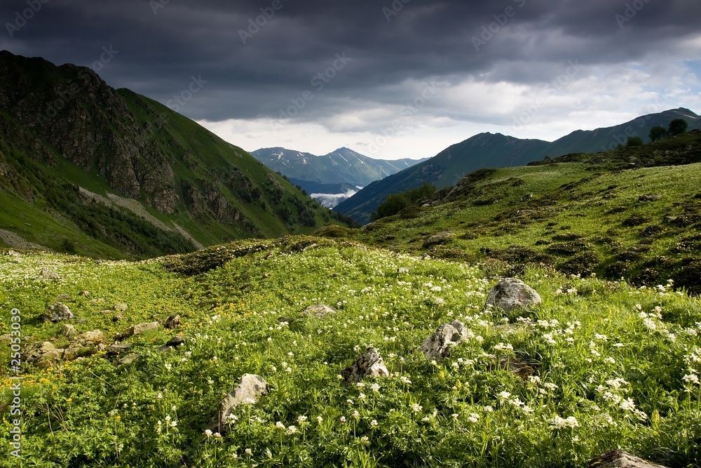 Mountain landscape with dark sky and white flowers.