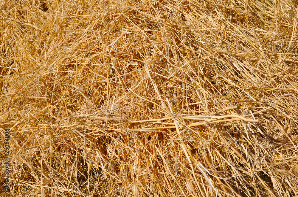 abstract background made from straw abstract background made from straw