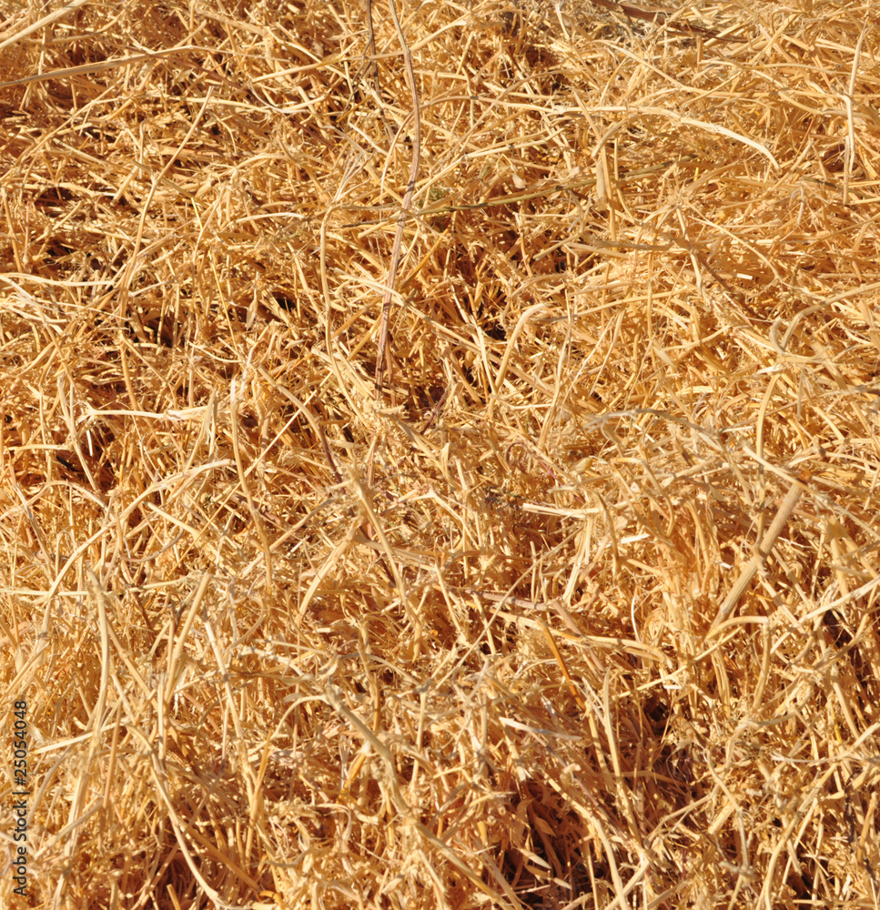 abstract background made from straw abstract background made from straw