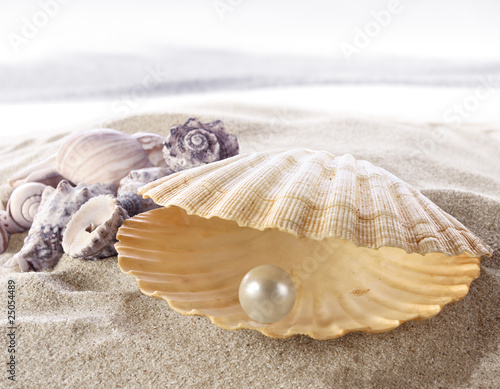 фотографія Shell with a pearl