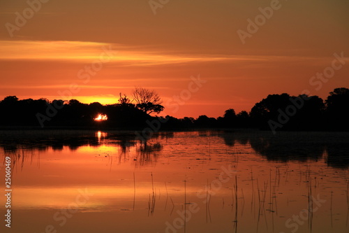 Orange Sunset in the Okavango Delta