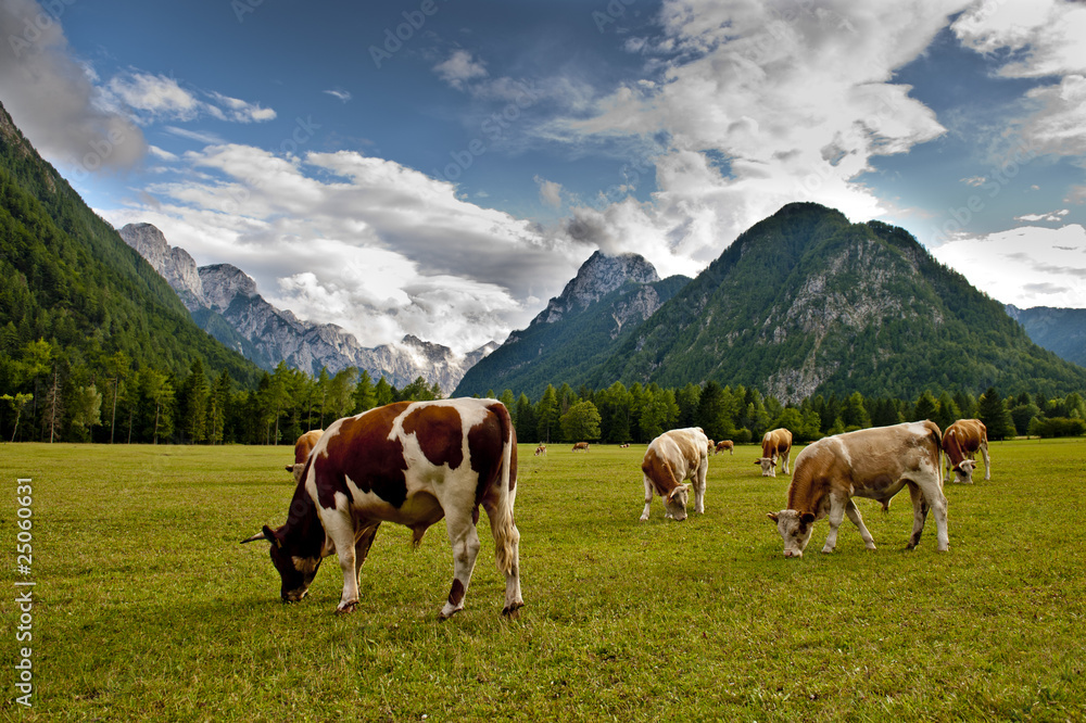 Green Cows