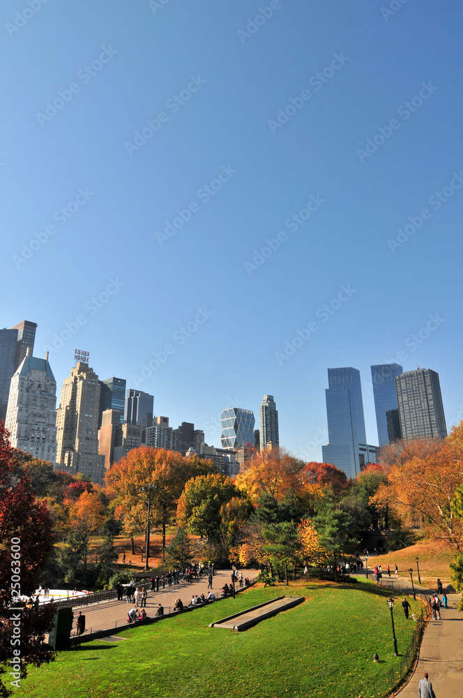 Naklejka premium Jesień w Central Parku i Nowym Jorku.