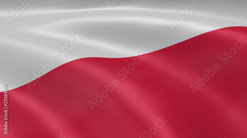 Polish flag in the wind photo
