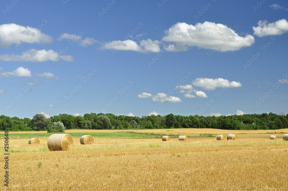 straw bales with blue cloudy sky