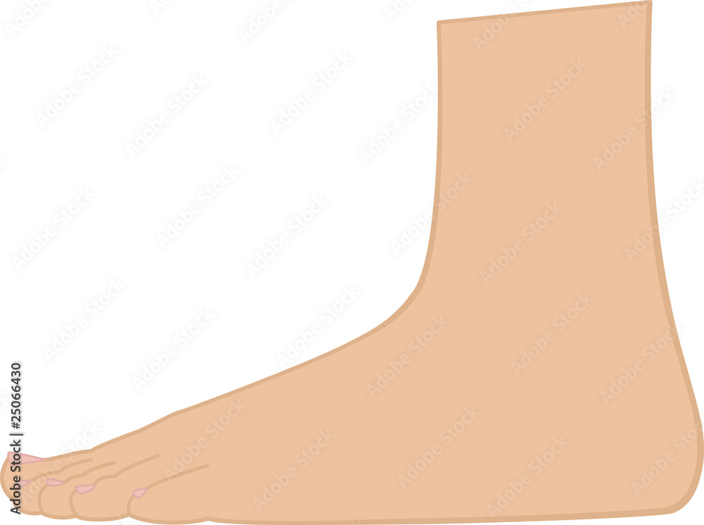 Foot Foot