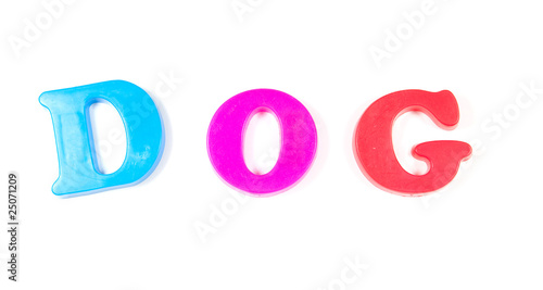 dog, written in fridge magnets