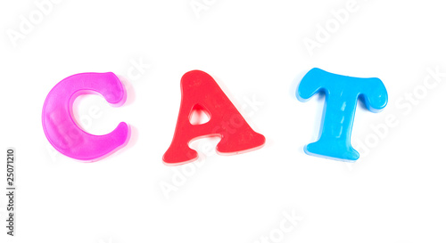 cat, written in fridge magnets